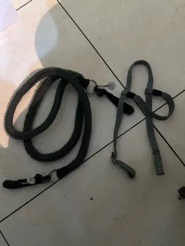 Arreios Cavalo