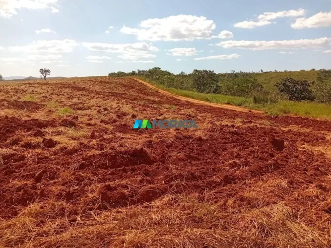 FAZENDA À VENDA - 164 HECTARES - PIUMHI (MG)