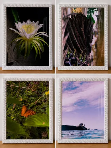 Quadro Decorativo com Moldura Branca - Fotografia Autoral