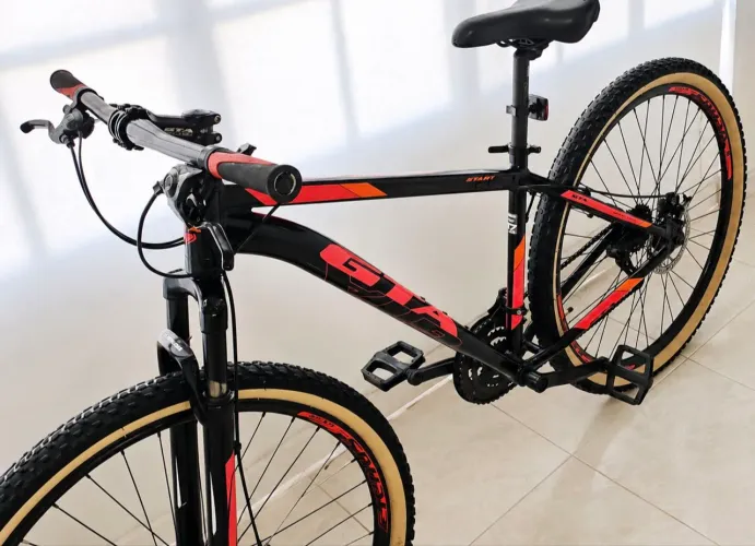 Bike- Aro29