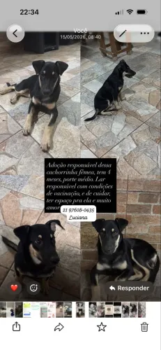 Doação responsável