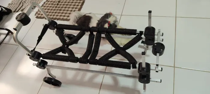 Cadeira de rodas pet porte grande