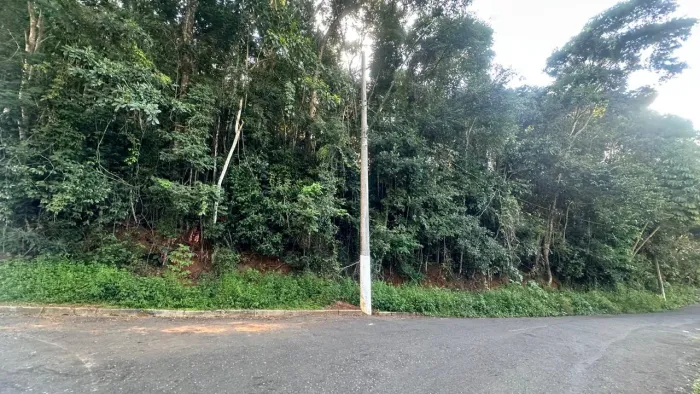 Terreno com 250m², bairro Borboleta, Juiz de Fora, MG.