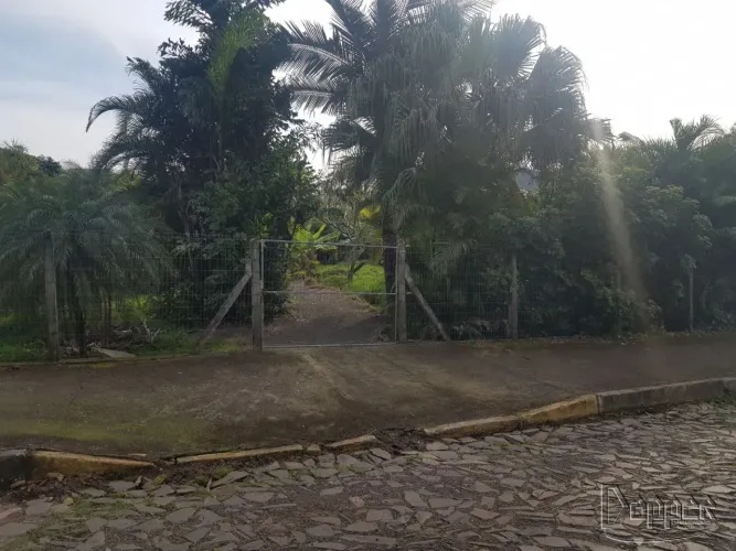 Terreno à Venda no Bairro Rincão dos Ilhús para Construção em Área Aberta