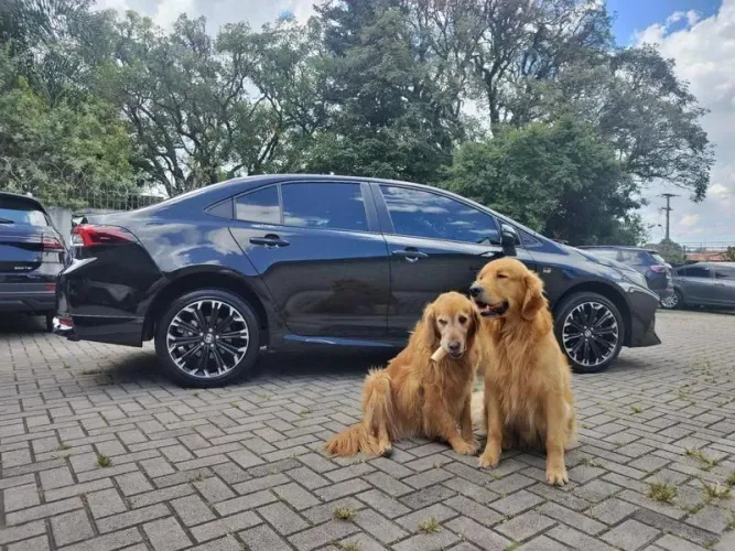 Toyota Corolla GR-Sport 2.0 Flex 16V AUT 2022