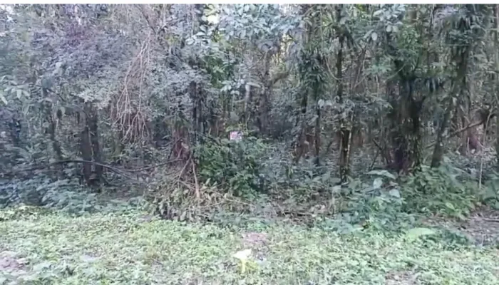 terreno