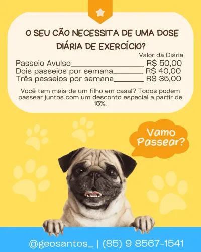 Dogwalker (passeador em Fortaleza)