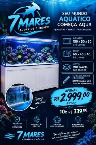 OPORTUNIDADE