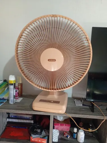 Ventilador Arno bege funciona tudo as três velocidades