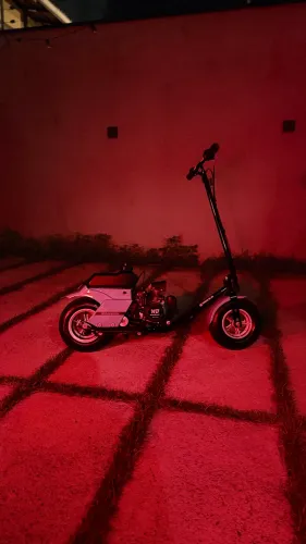 Walk machine 2023