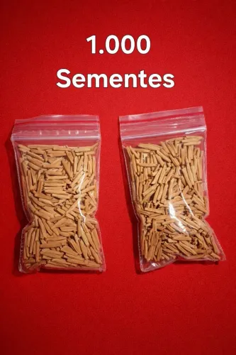 Rosa do deserto - kit 1000 sementes