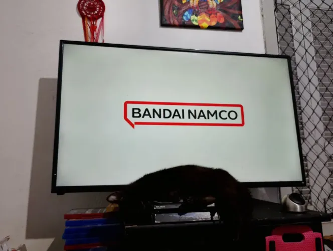 Smart tv usado