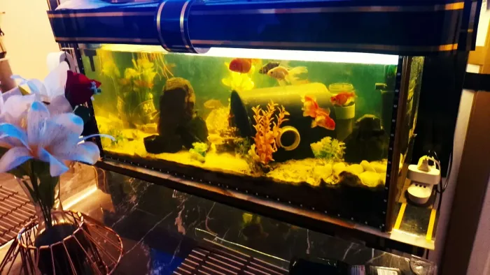 Aquário 200 litros Completo