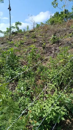 Vende-se um terreno na matinha