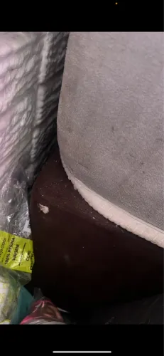 Cama box king star sem o colchão