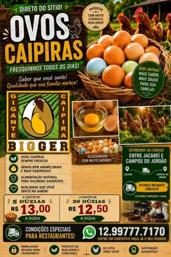 OVOS CAIPIRAS DIRETO DO SÍTIO - ENTREGAS SEMANAIS - VALE DO PARAÍBA