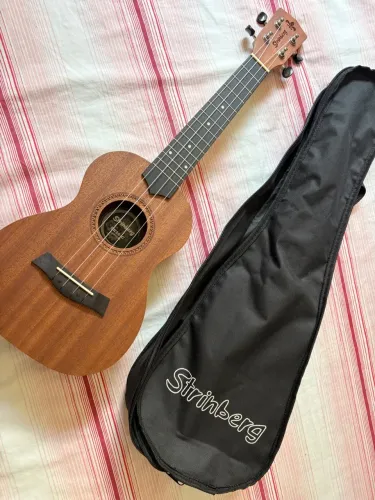 Ukulele Concertor