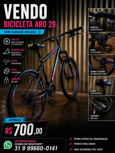 Bicicleta aro 29
