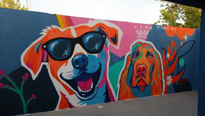 Pintura de paredes em estilo grafite arte decorada