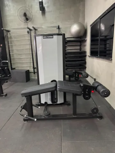 Mesa Flexora