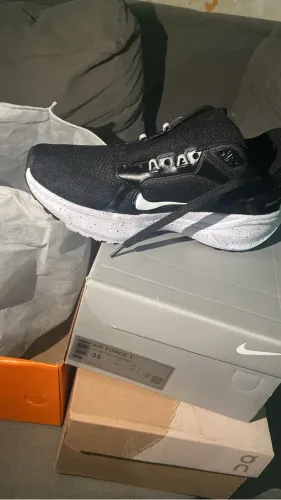 tênis Nike Pegasus