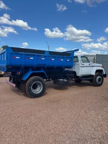 CAMINHAO D12000