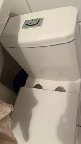 Vaso sanitário monobloco