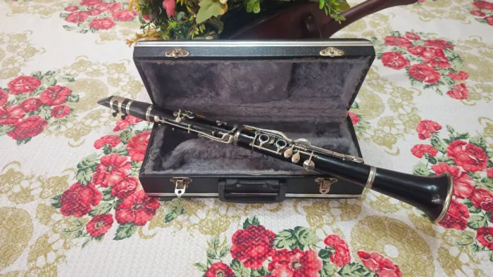 Clarinete Bugobot em Madeira Afinação Dó 13 Chaves Regulada + Estojo Compacto