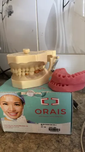 Manequim Orais com gengiva rosa e transparente
