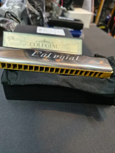 Gaita Hering colegial 20 vozes com estojo compre o.melhor instrumento de sopro do brasil