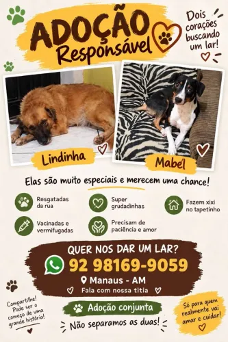 Adoção responsável