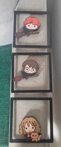 Quadros Decorativos 3D Harry Potter
