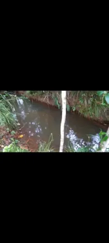 Terreno com 100 tarefas. R$ 15.000,00 a tarefa.