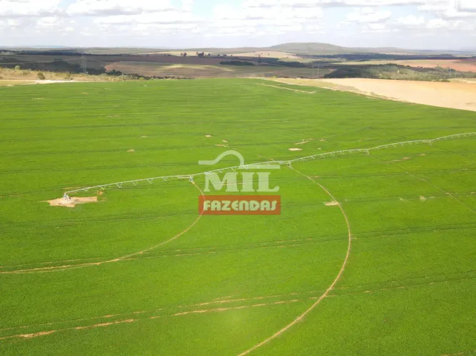 Fazenda 303,01 Alqueires (1.470 hectares) Paracatu - MG