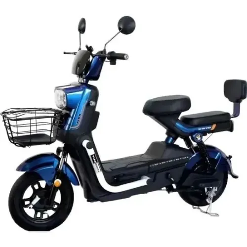 Moto elétrica 800 w 