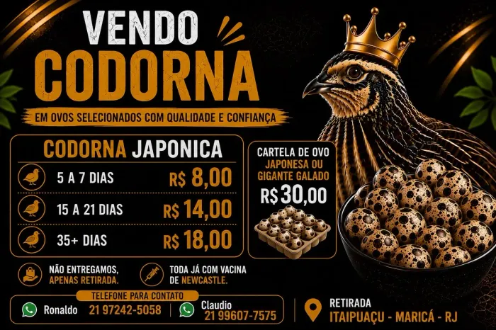 Codornas Japonesas e Ovos Galados | Filhotes, Matrizes e Ovos para Incubação