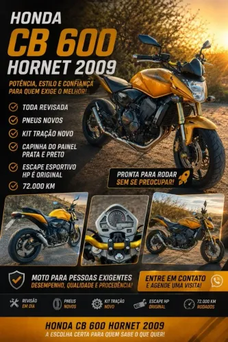 Hornet dourada 2009