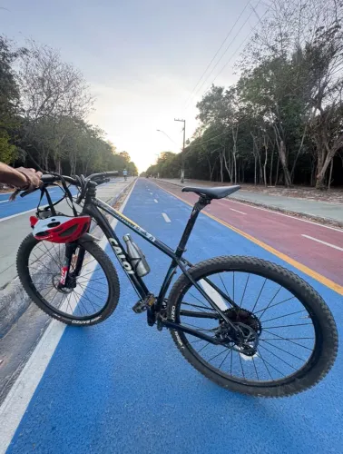 Vendo Caloi aro 29