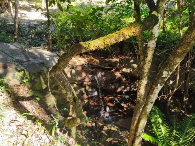 Chácara 2000m2 em Ravena MG