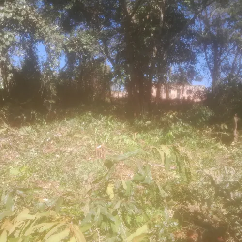Lotes de 300 mts