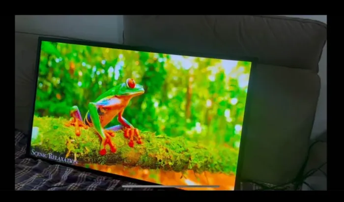  Monitor Profissional NEC 43 4K - Uso Comercial / Corporativo