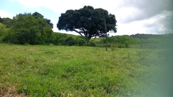 Terreno no Loteamento São Thiago, no Campos Elizios, Centro, São Felipe, Bahia, com 180m².