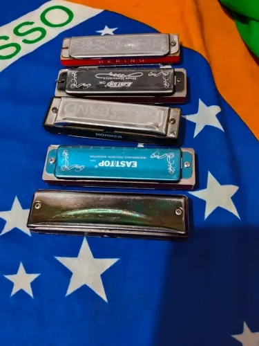 Gaitas diatônicas 