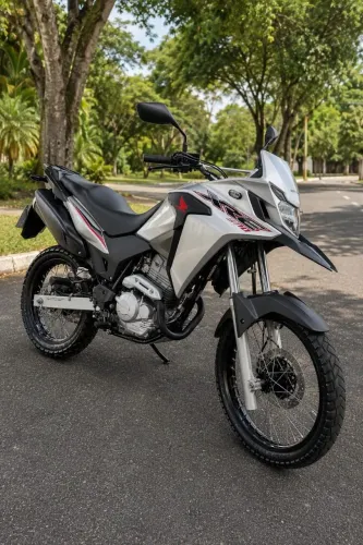 XRE 300
