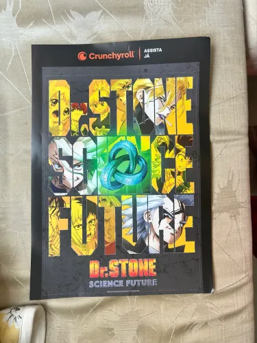 Pôster Dr Stone Science Future