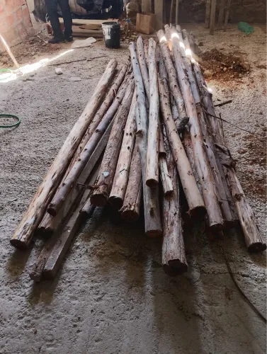 Vendo escoras de eucalipto
