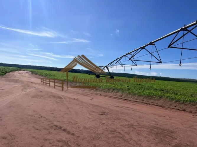 Fazenda com 240 alqueires em Avaré/SP