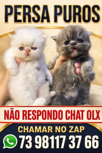 Persianas disponível pra reserva , entrega a partir 13 de outubro