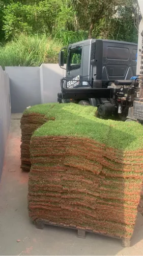 Grama pronta entrega caminhão munk