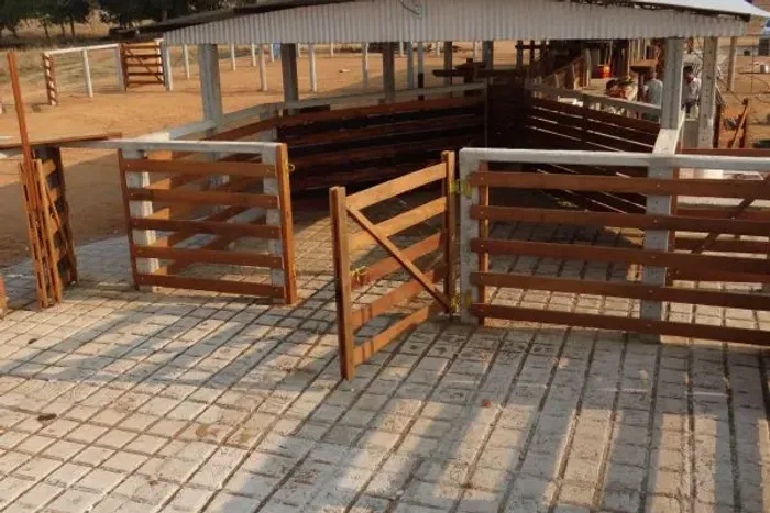 Construtor Pecuaria MS